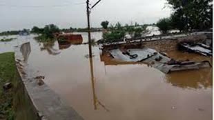  भारी बारिश के कारण उफान पर नर्मदा नदी, हजारों एकड़ में लगी फसल जलमग्न