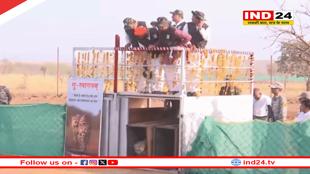 गांधी सागर अभयारण्य में सीएम डॉ. मोहन यादव ने पावक और प्रभास को बाड़े में छोड़ा