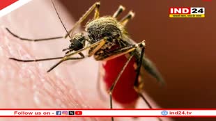 जीका वायरस को लेकर केंद्र ने राज्यों के लिए जारी की एडवाइजरी, महाराष्ट्र में सबसे ज्यादा मामले