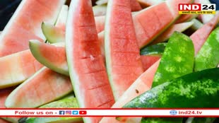 Watermelon Peels Benefits: तरबूज ही नहीं, इसके छिलके भी सेहत के लिए होते हैं हेल्दी, जानें ये फायदे