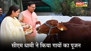 CM धामी ने किया गायों का पूजन, प्रदेशवासियों के लिए की सुख-समृद्धि की कामना