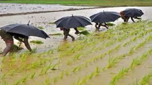 अगस्त महीने में 100 वर्षों में सबसे कम बारिश होने का अनुमान, खरीफ फसलों को नुकसान से महंगाई बढ़ने का खतरा!