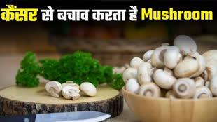  भारत में पाए जाने वाले खाद्य पदार्थ हमारे शरीर को कहीं न कहीं से फायदा जरूर पहुंचाते हैं। आमतौर पर आपने फलों और हरी पत्‍तेदार सब्‍ज‍ियों के बारे में ही सुना होगा क‍ि वे कैंसर से बचाव करते हैं। हार्ट को हेल्‍दी रखने में मदद करते हैं। कुल म‍िलाकर कई बीमार‍ियों का खात्‍मा करने में सक्षम होते हैं। लेक‍िन आज हम आपको मशरूम के बारे में बताने जा रहे हैं। अगर आप रोजाना अपनी डाइट में 5 बटन मशरूम को शाम‍िल करते हैं तो हार्ट डि‍जीज और कैंसर के खतरे को कई हद तक कम कर सकते हैं। ऐसा हम नहीं, अमेरिका के पेन स्टेट सेंटर फॉर प्लांट एंड मशरूम प्रोडक्ट्स फॉर हेल्थ की र‍िसर्च कह रही है। हाल ही में मशरूम पर हुए र‍िसर्च में शोधकर्ताओं ने पाया कि रोजाना सिर्फ पांच छोटे मशरूम खाने से दिल की बीमारी, कैंसर और डिमेंशिया से लड़ने में मदद मिल सकती है। दरअसल मशरूम में एंटीऑक्सीडेंट्स एर्गो लियोन और ग्लूटाथियोन भरपूर मात्रा में पाए जाते हैं। ये शरीर में होने वाले फ्री रेडिकल्स से बचाने में मदद करते हैं।  <h2>शोध में इस बात का हुआ खुलासा</h2>  पेन स्टेट सेंटर फॉर प्लांट एंड मशरूम प्रोडक्ट्स फॉर हेल्थ के डायरेक्टर प्रोफेसर रॉबर्ट बीलमैन ने बताया कि शोध में यह बात सामने आई है क‍ि मशरूम में दो एंटीऑक्सीडेंट- एरगोथायोनीन और ग्लूटाथायोन भरूपर मात्रा में पाए जाते हैं। जो उम्र बढ़ने की प्रक्रिया और अन्य बीमारियों से बचाने में मदद करते हैं। मशरूम में मौजूद पोषक तत्व की शरीर की रक्षा करते हैं। 1400 तर‍ह के मशरूम होते हैं। हालांक‍ि सभी खाए नहीं जा सकते हैं।   <h2>बटन मशरूम खाने के फायदे</h2>  खाने के ल‍िहाज से बटन मशरूम सबसे अच्‍छा माना गया है। ये हर जगह आसानी से उपलब्ध होते हैं। इसके अलावा मशरूम प्रोटीन, कार्बोहाइड्रेट और विटामिन से भरपूर होता है। इनमें कैलोरी भी बेहद कम मात्रा में पाई जाती है। यही वजह है क‍ि डायब‍िटीज के मरीजों को इसे अपनी डाइट में शामि‍ल करने की सलाह दी जाती है। वहीं वजन घटाने वालों के ल‍िए भी ये काम आ सकता है। मशरूम को पकाकर खाने में भी इनमें प्रोटीन की मात्रा बनी रहती है। बटन मशरूम विटामिन B- कॉम्प्लेक्स, विटामिन D, और पोटैशियम जैसे पोषक तत्वों का अच्छा स्रोत होते हैं।  <h2>मशरूम के अन्‍य फायदे</h2>  वजन घटाने में मददगार। ब्लड प्रेशर कम करने में भी सहायक। तनाव और एंजाइटी से द‍िलाए राहत। कोलेस्ट्रॉल कम करने में कारगर। गट हेल्थ के लिए भी बेहद लाभकारी।