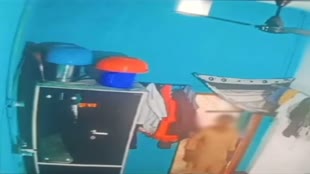 CG NEWS : राजधानी रायपुर में पार्लर जाने का शौक पूरा करने के लिए पड़ोसी के घर डाला डाका, CCTV में कैद....
