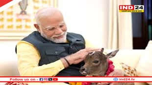 PM आवास में हुआ नन्हे मेहमान 'दीपज्योति' का आगमन, गौमाता ने नव वत्सा को दिया जन्म 
