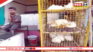 मीट की दुकानों को लेकर सड़क पर उतरा बजरंग दल और VHP, पहुंचे कलेक्टर कार्यालय