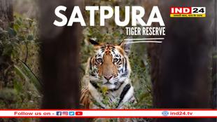 सतपुड़ा टाइगर रिजर्व का मढ़ई वाइल्ड लाइफ पार्क अब प्लास्टिक फ्री