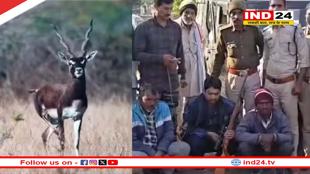 काले हिरण के मांस की मुंबई तक सप्लाई का शक! रिमांड पर भोपाल का डॉक्टर
