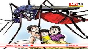 ग्वालियर: डेंगू के साथ चिकनगुनिया भी तेजी से फैलने लगा