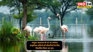 CG NEWS : सैलानियों को मिलेगी ’तांदुला इको फ्रेंडली टूरिज्म पार्क’ की सौगात....