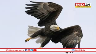 नए राष्ट्रपति के साथ ही अमेरिका को मिला नया 