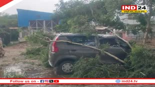 Rajasthan Weather Update: प्रदेश भर में आज रहेगा वेस्टर्न डिस्टर्बेंस का असर, बीकानेर और झालावाड़ समेत इन जिलों में हुई बारिश 