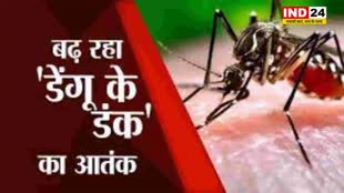 भोपाल में डेंगू का कहर, डेंगू पाजिटिविटी रेट 10 प्रतिशत तक पहुंचा