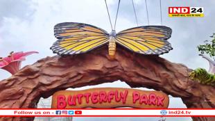 बसंत ऋतु में ये नहीं देखा तो कुछ नहीं देखा, स्वर्ग से भी सुंदर है खंडवा का बटरफ्लाई पार्क