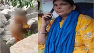 CG NEWS : पेड़ पर फांसी के फंदे से लटका मिला शव, हत्या या आत्महत्या ? 