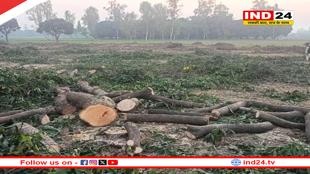 रामनगर वन निगम पर उठे सवाल, ज्वाला वन में लकड़ी चोरी का जिम्मेदार कौन?