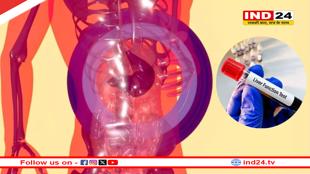 World Liver Day 2025: लिवर की हिफाजत के लिए जरूरी टेस्ट और सावधानियां