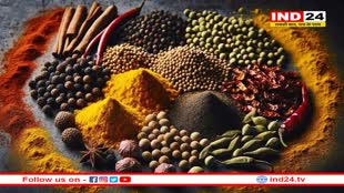 क्वालिटी खराब तो मसाला फर्मों पर गाज! सरकार की सख्ती के बाद FSSAI ने जुटाए 1,500 से ज्यादा सैंपल