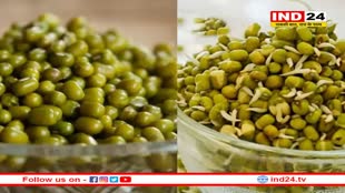 प्रोटीन से लेकर कैल्शियम तक, पोषक तत्वों का भंडार है मूंग दाल