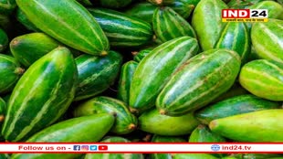 वेट लॉस से लेकर ग्लोइंग स्किन तक, गर्मी में परवल खाने के हैं एक दो नहीं बल्कि इतने फायदे