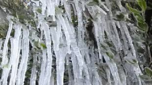 Rajasthan Weather Update: राजस्थान में कहीं धूप, तो कहीं बर्फ जमा देने वाली सर्दी, मांउट आबू में पारा माइनस में पहुंचा 