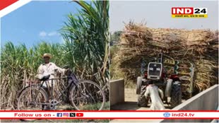 केंद्र सरकार का बड़ा फैसला, गन्ना खरीद कीमत में 8 फीसदी की बढ़ोतरी