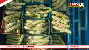 Panchayat 3 की लौकी ने बाजारों में मचाया धमाल,  सीजन 3 में तीन गुना मजे की पूरी गारंटी देता है ये टीजर 