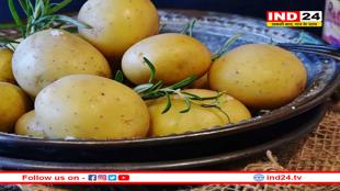 डायबिटीज के मरीजों को क्या पूरी तरह छोड़ देना चाहिए आलू खाना? 