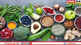 Power Plant Day 2023: प्लांट बेस्ड फूड्स होते है प्रोटीन का भंडार, स्वस्थ रहने के लिए डाइट में जरूर करें शामिल