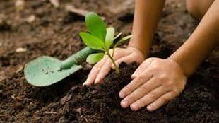 आज से शुरू होगा 'मेरी माटी-मेरा देश' अभियान, देशभर की पंचायतों की मिट्टी से बनेगी अमृत वाटिका