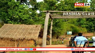 बांधवगढ़ में होंगे 12 रेंज