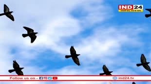 उदयपुर बर्ड फेस्टिवल बर्ड रेस के साथ आज से शुरू होगा