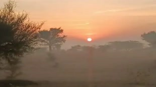 Rajasthan Weather Update: प्रदेश के 7 जिलों में 19 जनवरी तक के लिए जारी हुआ येलो अलर्ट, माउंट आबू में दूसरे दिन भी पारा माइनस में 