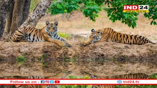 अतुल्य मध्यप्रदेश बना पर्यटकों की पहली पसंद,वर्ष 2024 में पहुंचे 13 करोड़ से अधिक सैलानी