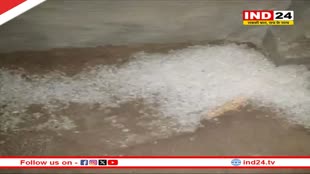 Rajasthan Weather Update: फरवरी में पड़ी ठंड ने तोड़ा 5 साल का रिकॉर्ड, मार्च में सामान्य रहेगा तापमान, बारिश ज्यादा होने की संभावना