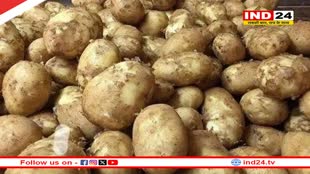 क्‍या आप भी खा रहे हैं केमिकल वाला आलू? अमोनिया से रातभर में बना देते हैं पुराने को नया
