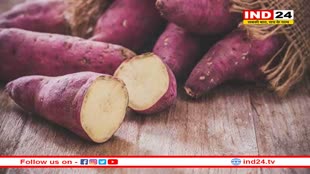 सेहत के लिए वरदान से कम नहीं भुनी हुई शकरकंदी