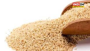 पोषक तत्वों का भंडार है खसखस, जानें इसके गजब के फायदे