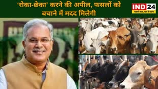 CG NEWS : आज से गांवों में रोका-छेका अभियान शुरू, आवारा मवेशियों से फसलों को बचाने में मिलेगी मदद