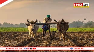 छत्तीसगढ़ के किसान 31 जुलाई तक करा सकेंगे फसल बीमा, फसल नुकसान पर मिलेगा मुआवजा