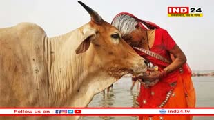 देश के इस राज्य ने गाय को घोषित किया राज्यमाता, सरकार ने जारी किया आदेश