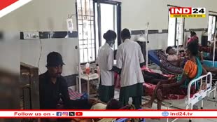 बिलासपुर में 20 दिन में मिले स्वाइन फ्लू के 144 मरीज, सात लोगों की हुई मौत