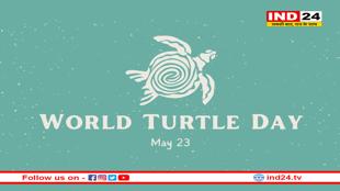 विश्व कछुआ दिवस: सौभाग्य, समृद्धि का प्रतीक कछुआ लक्ष्मी जी को करता है आमंत्रित