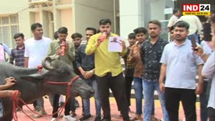 MP NEWS: छात्रों ने भैंस के आगे बीन बजाकर कुलपति के खिलाफ खोला मोर्चा, जानें क्या है पूरा मामला