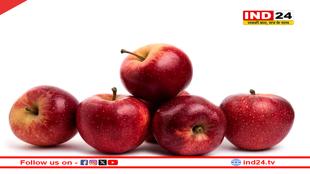 ज्योतिर्मठ में काश्तकारों के सेब बागानों को मिली संजीवनी, हिमपात से पौधों की उम्र बढ़ेगी