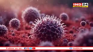 केरल में बढ़ रहा Nipah Virus का प्रकोप, शैक्षणिक संस्थान 24 सितंबर तक बंद, सुरक्षित रहने के लिए अपनाए ये तरीके 