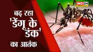  भोपाल में डेंगू का प्रकोप बढ़ : मरीजों की संख्या 600 के पार