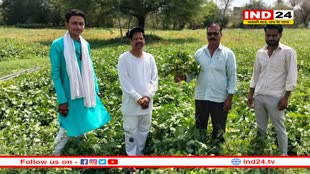 सोयाबीन की यह किस्म विपरीत मौसम में भी अच्छा उत्पादन देने में सक्षम, जानें एक एकड़ में उत्पादन