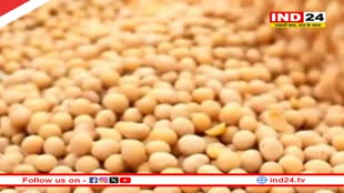 मध्यप्रदेश में किसानों को बड़ा तोहफा, समर्थन मूल्य पर सोयाबीन खरीदने के प्रस्ताव को केंद्र ने दी मंजूरी