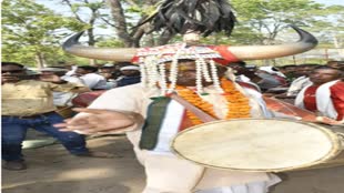 CG News :आदिवासी परिधान में थिरकते दिखें मंत्री लखमा और पूर्व सांसद साय.... 